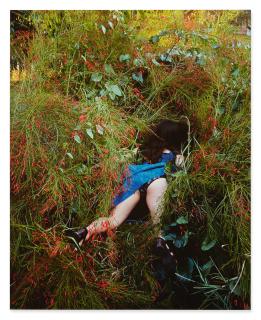 Naomi Fisher - Untitled (Blue Dress) [From Backyard Series]