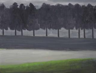 Naomi Iwaki - Dark Forest