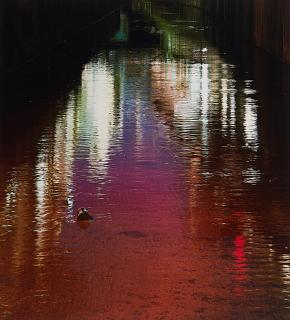 Naoya Hatakeyama - Shadow #056 (Aus: River Series).