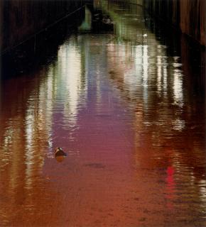 Naoya Hatakeyama - Shadow #056 (from \'River Series\')