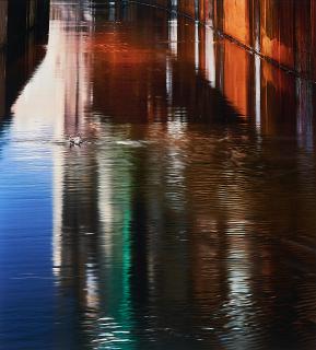 Naoya Hatakeyama - Shadow #50 (Aus: River Series).