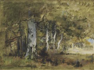 Narcisse-Virgile Diaz de la Pena - Woodland at Fontainebleau