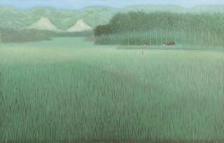 Nasjah Djamin - Fields and Hills