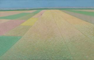 Nasjah Djamin - Ripening Fields