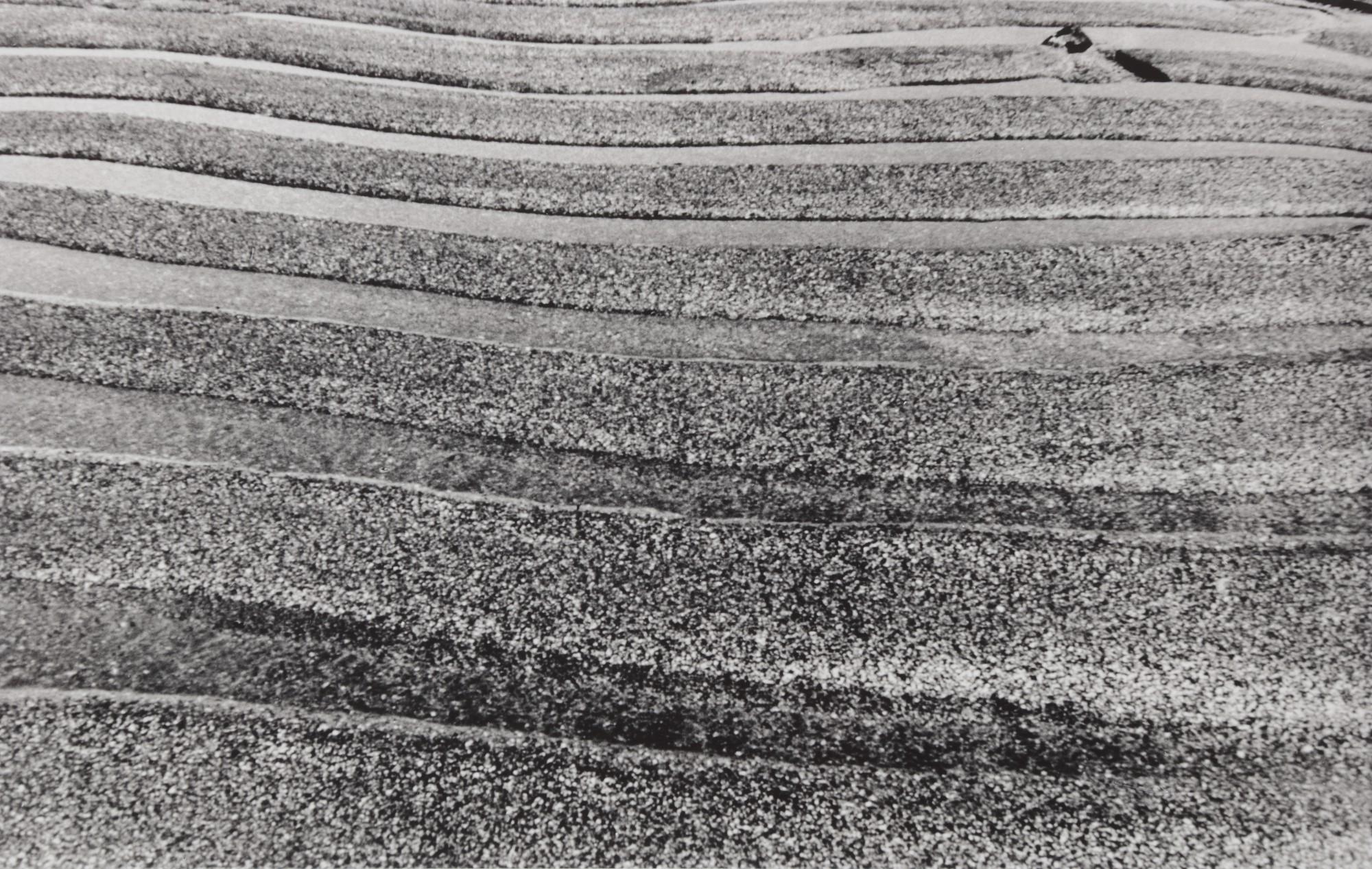 Nasreen Mohamedi - Untitled (NM Photo 13)