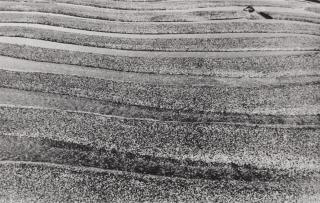 Nasreen Mohamedi - Untitled (NM Photo 13)