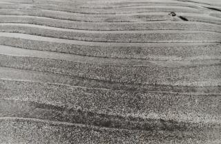 Nasreen Mohamedi - Untitled