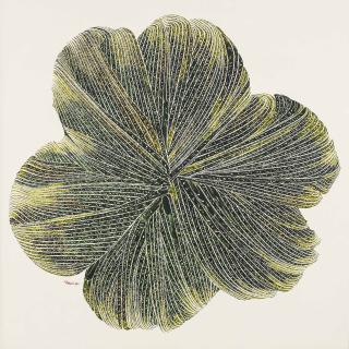 Nasrollah Afjehei - Calligraphy