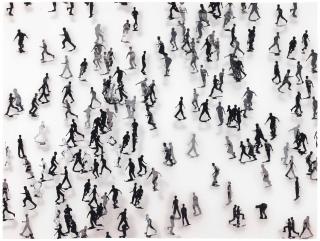 Nataraj Sharma - Playground 4