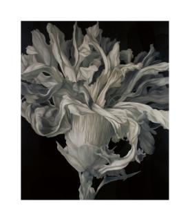 Natee Utarit - The Baroque