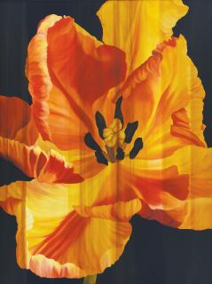 Natee Utarit - The Last Description Of The Old Romantic