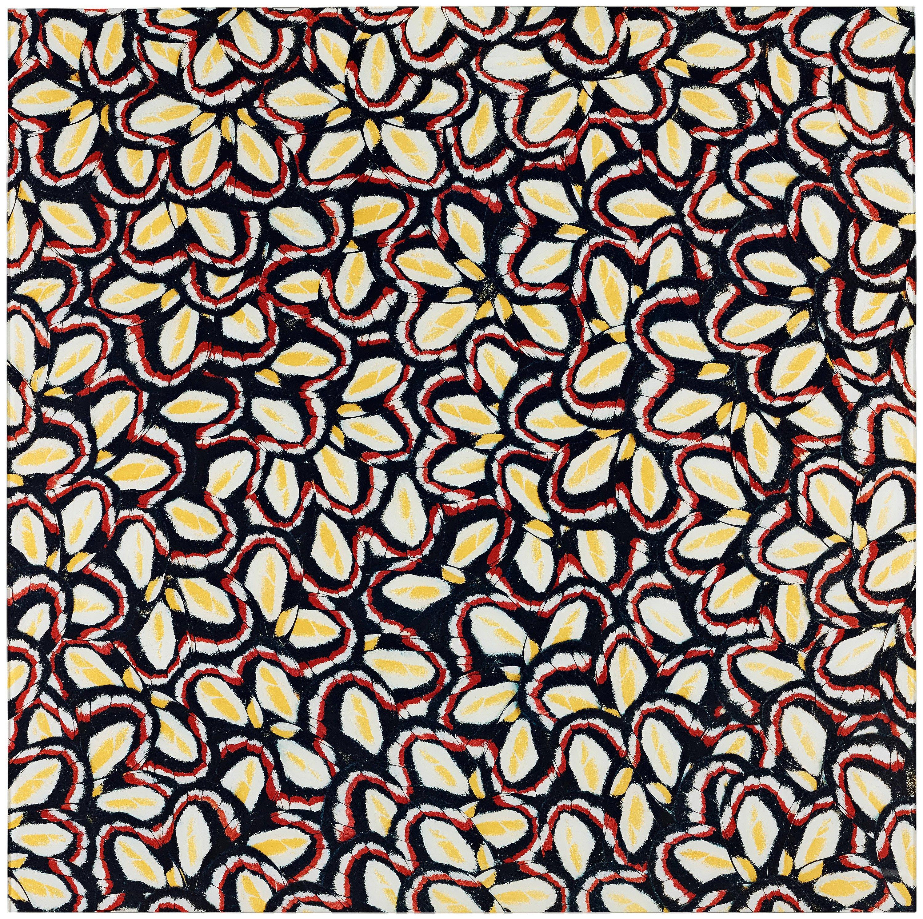 Nathalia Edenmont - \