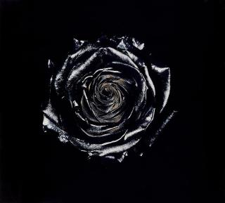 Nathalia Edenmont - \