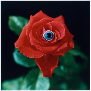 Nathalia Edenmont - \