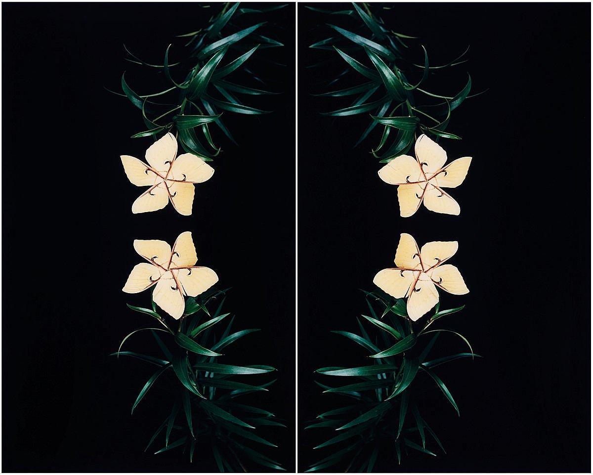 Nathalia Edenmont - Glory