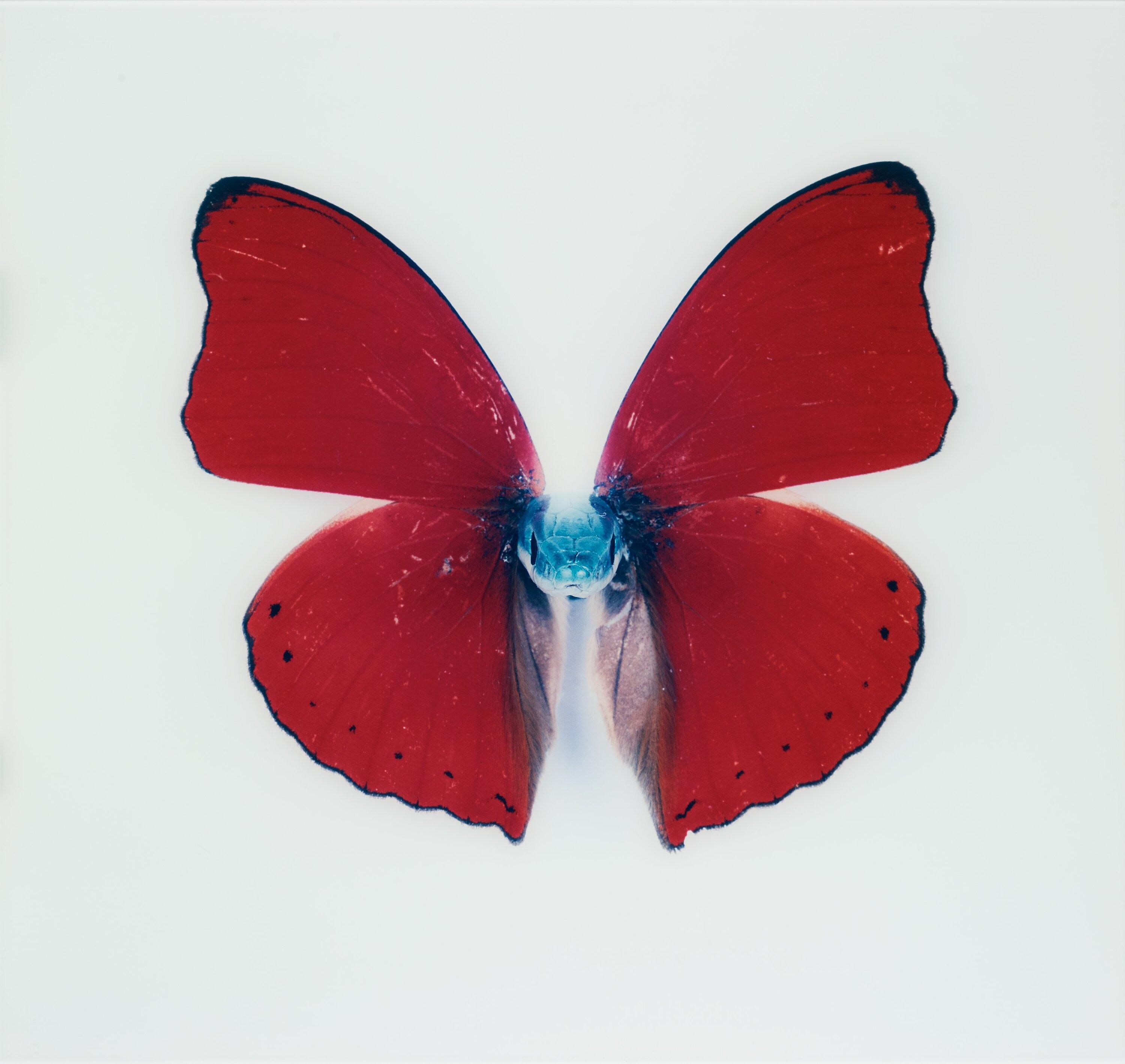 Nathalia Edenmont - \