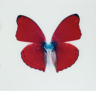 Nathalia Edenmont - \