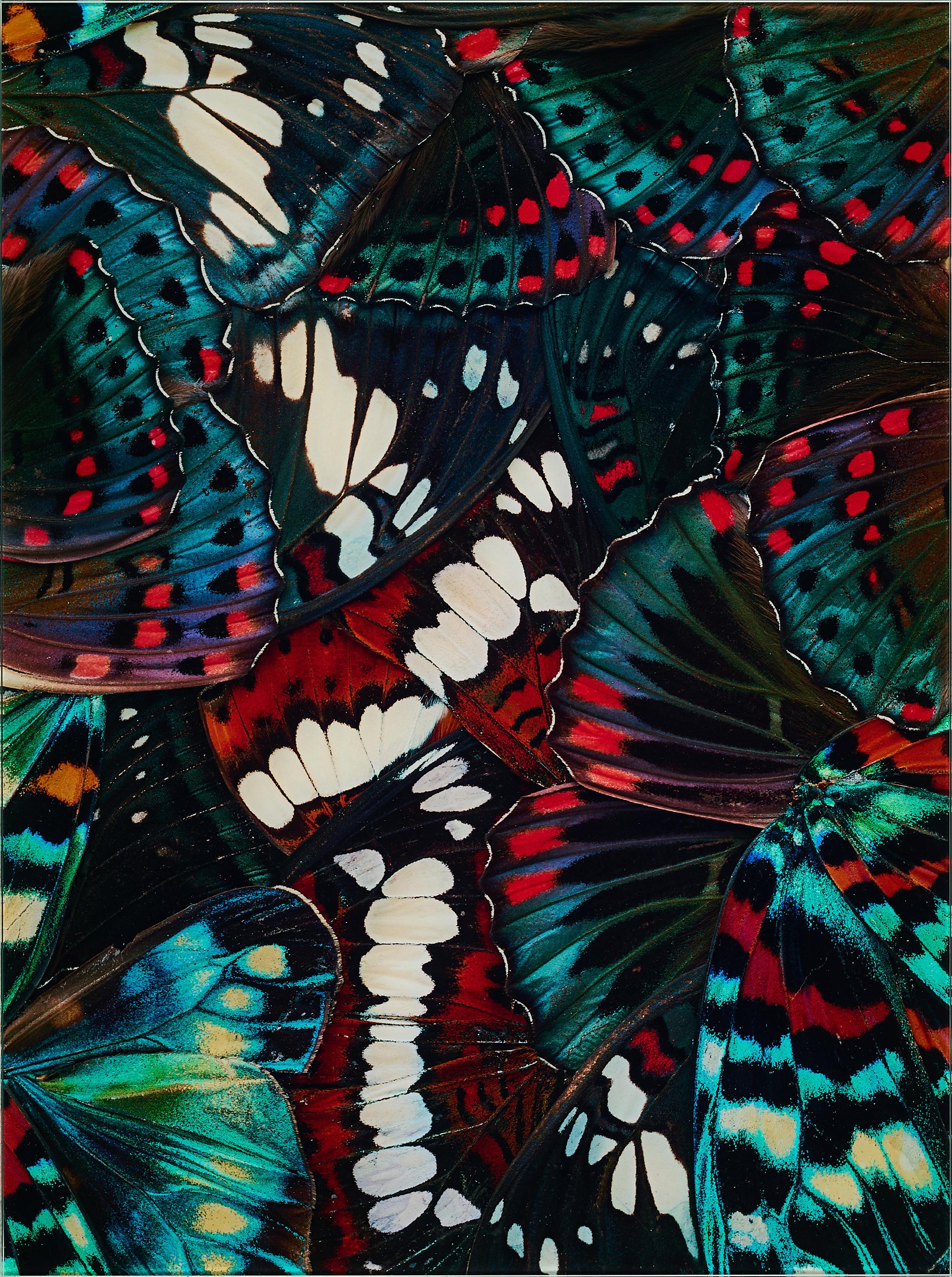 Nathalia Edenmont - Madness.