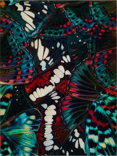 Nathalia Edenmont - Madness.