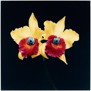 Nathalia Edenmont - \