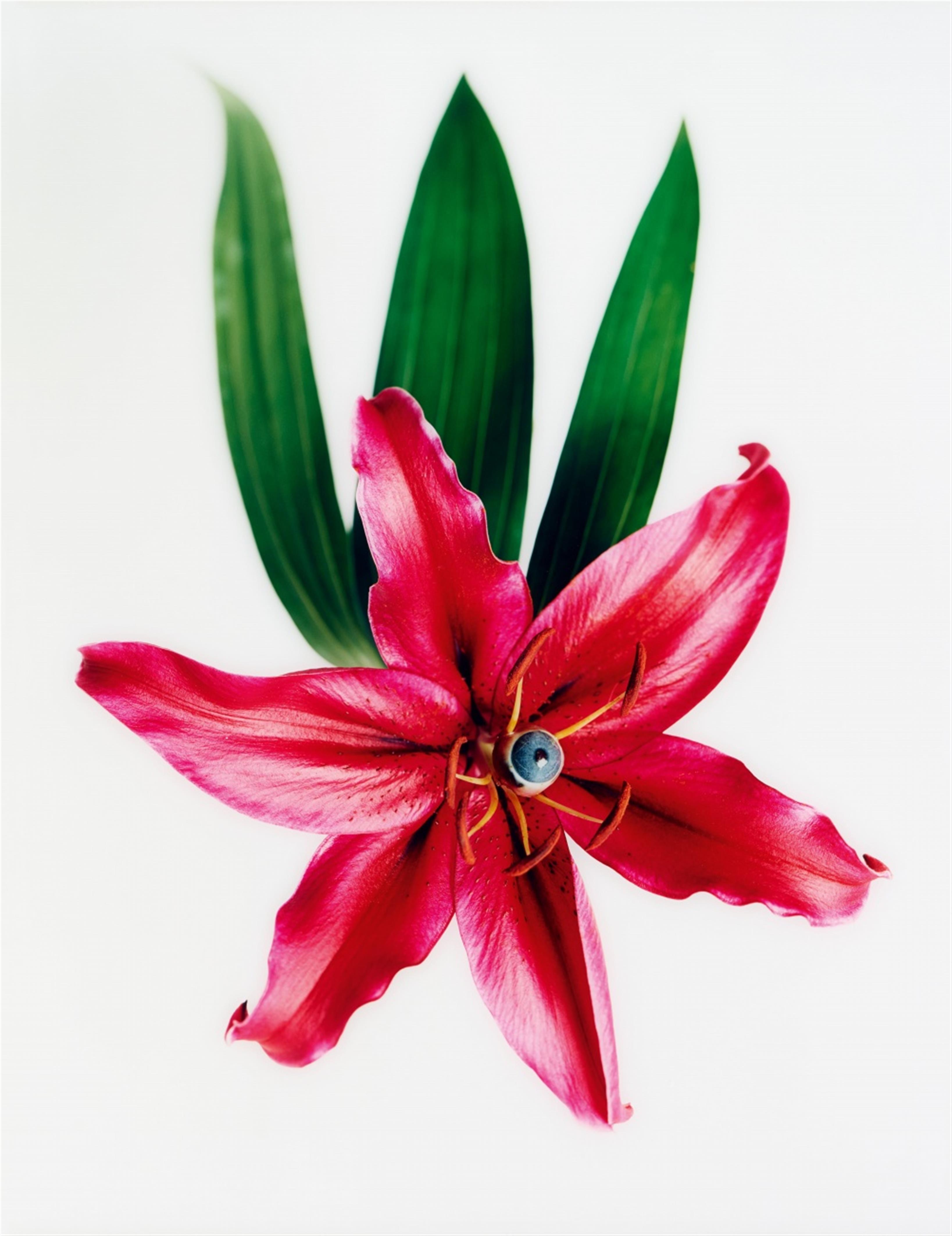 Nathalia Edenmont - Party Tongues