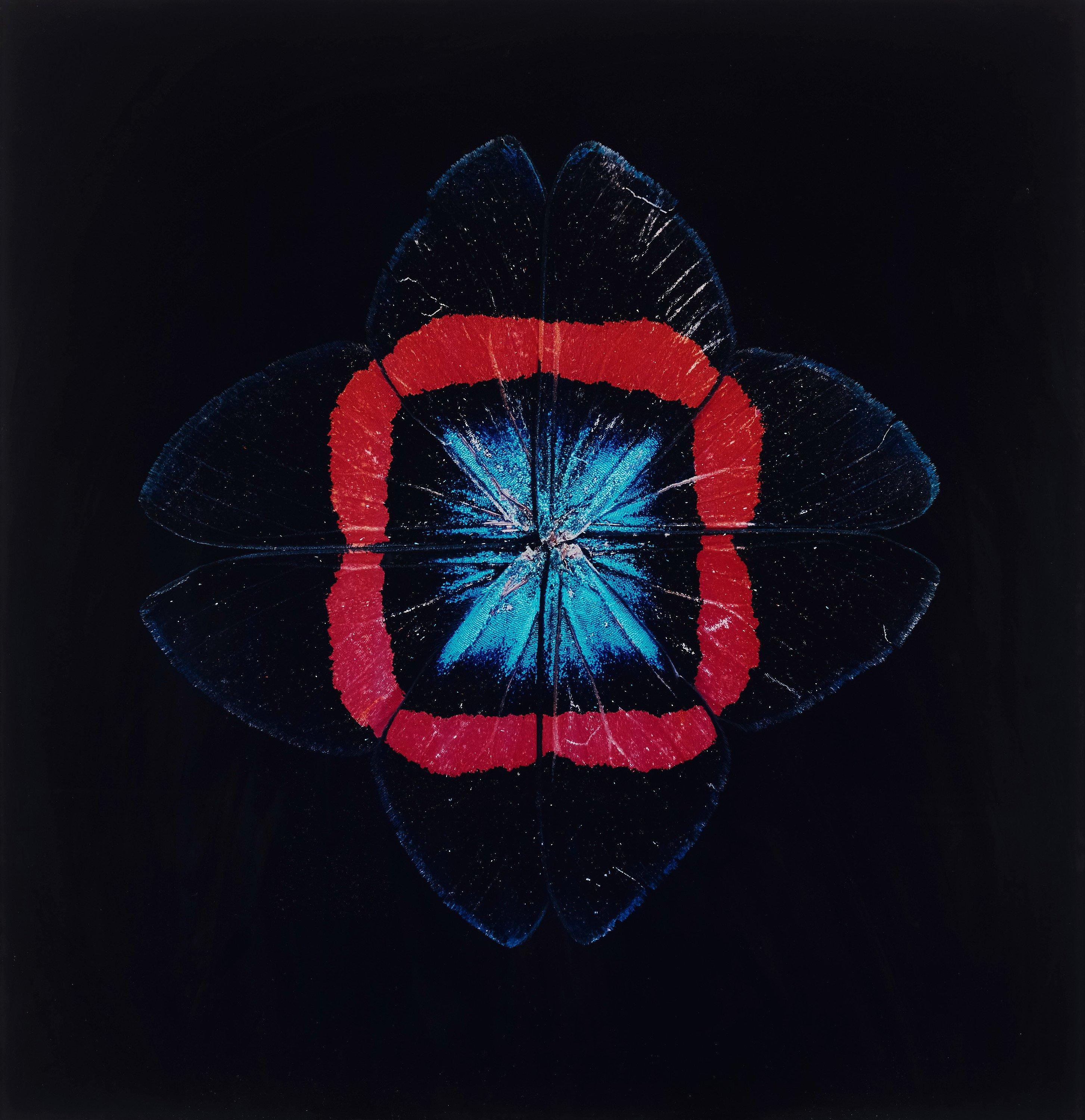 Nathalia Edenmont - \'Red Square\', 2005