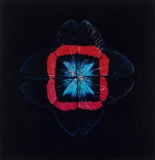 Nathalia Edenmont - \'Red Square\', 2005