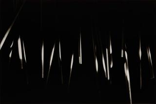 Nathan Lerner - Dowels: Lightbox Study