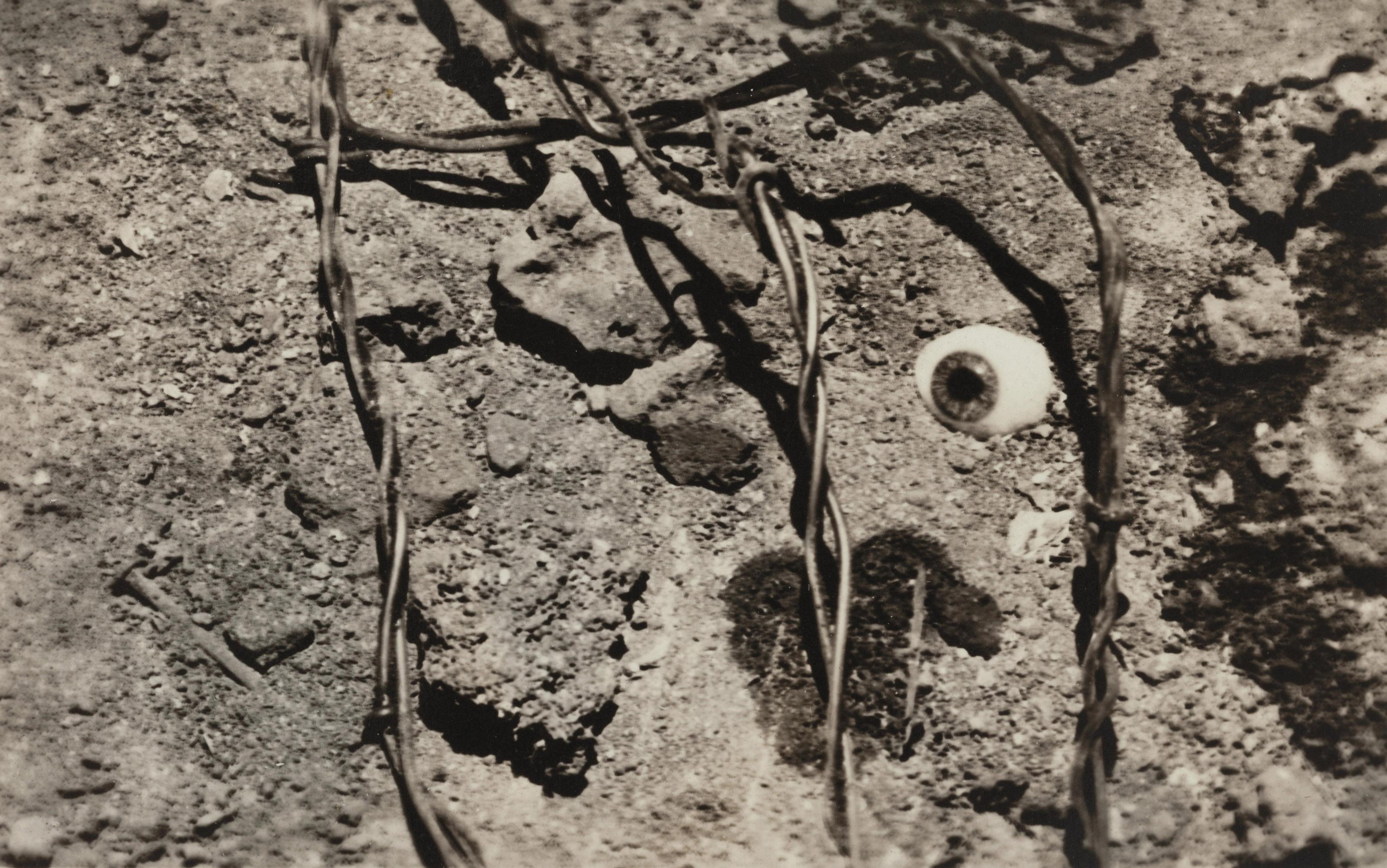 Nathan Lerner - Eye and Barbed Wire, 1939
