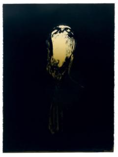 Nathan Oliveira - Acoma Hawk II