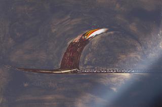 Nathan Oliveira - Tamarind Site I