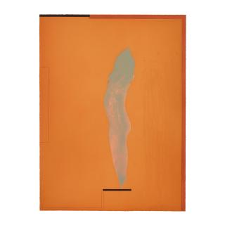 Nathan Oliveira - Torso II