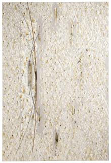 Natsuyuki Nakanishi - Arc · Ellipse IV