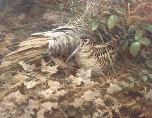 Neil Cox - A Woodcock In Leaf Litter