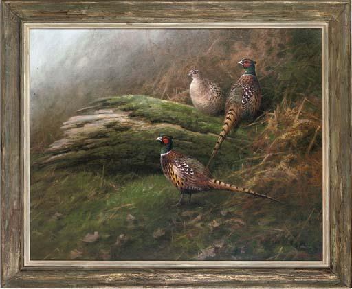 Neil Cox - Pheasants Foraging In Bracken