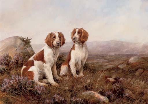 Neil Cox - Spaniels on the moors