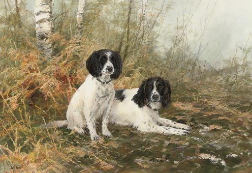 Neil Cox - Spaniels waiting to flush
