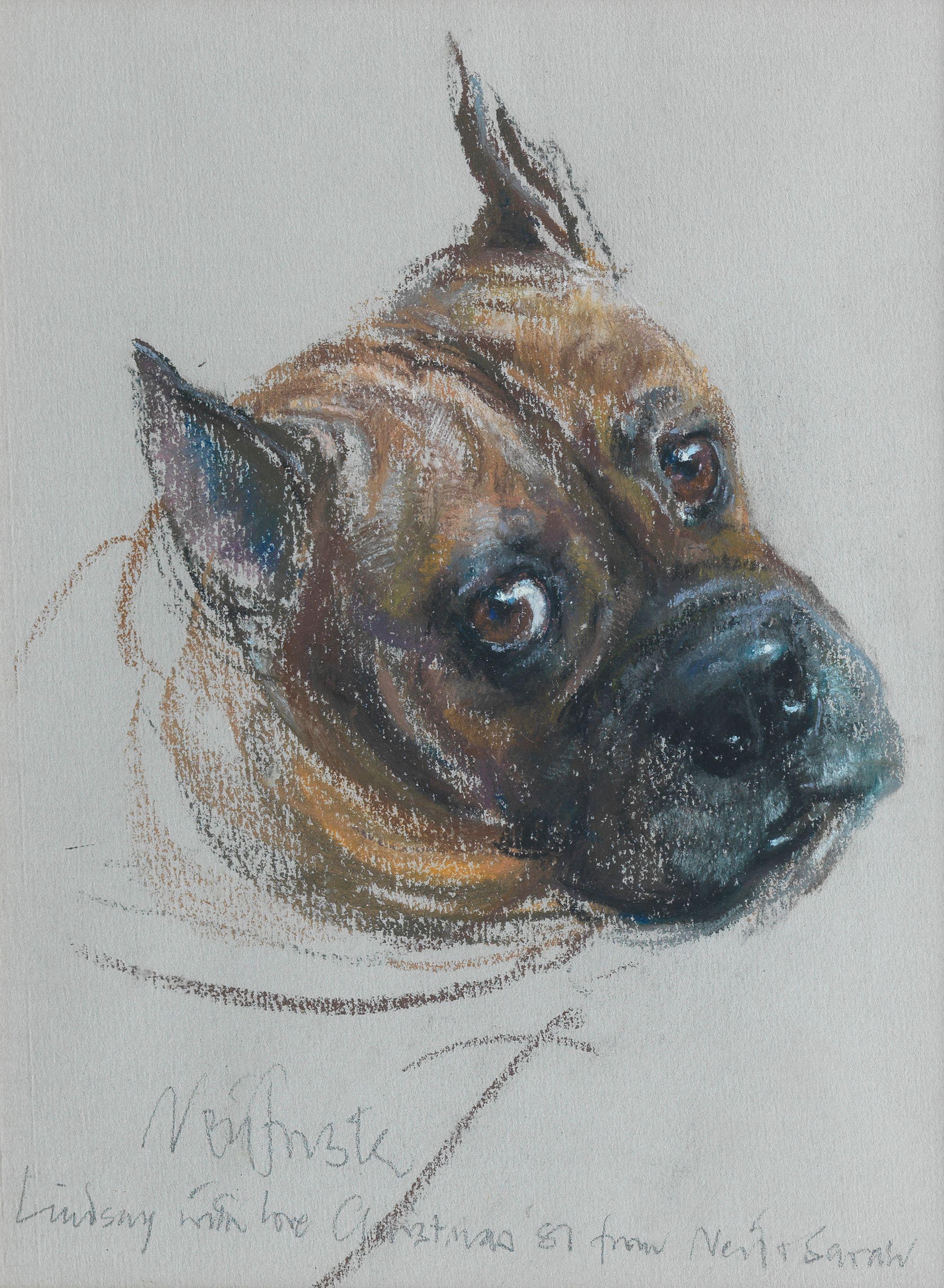Neil Forster - An old Boxer dog