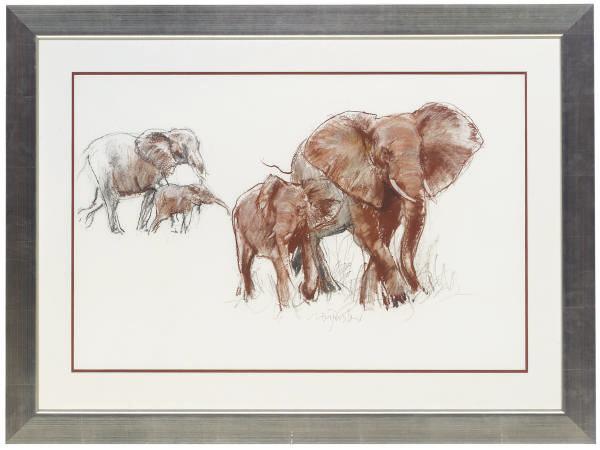 Neil Forster - Elephants with their young