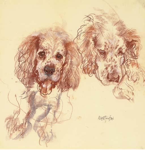 Neil Forster - Gus, A Spaniel