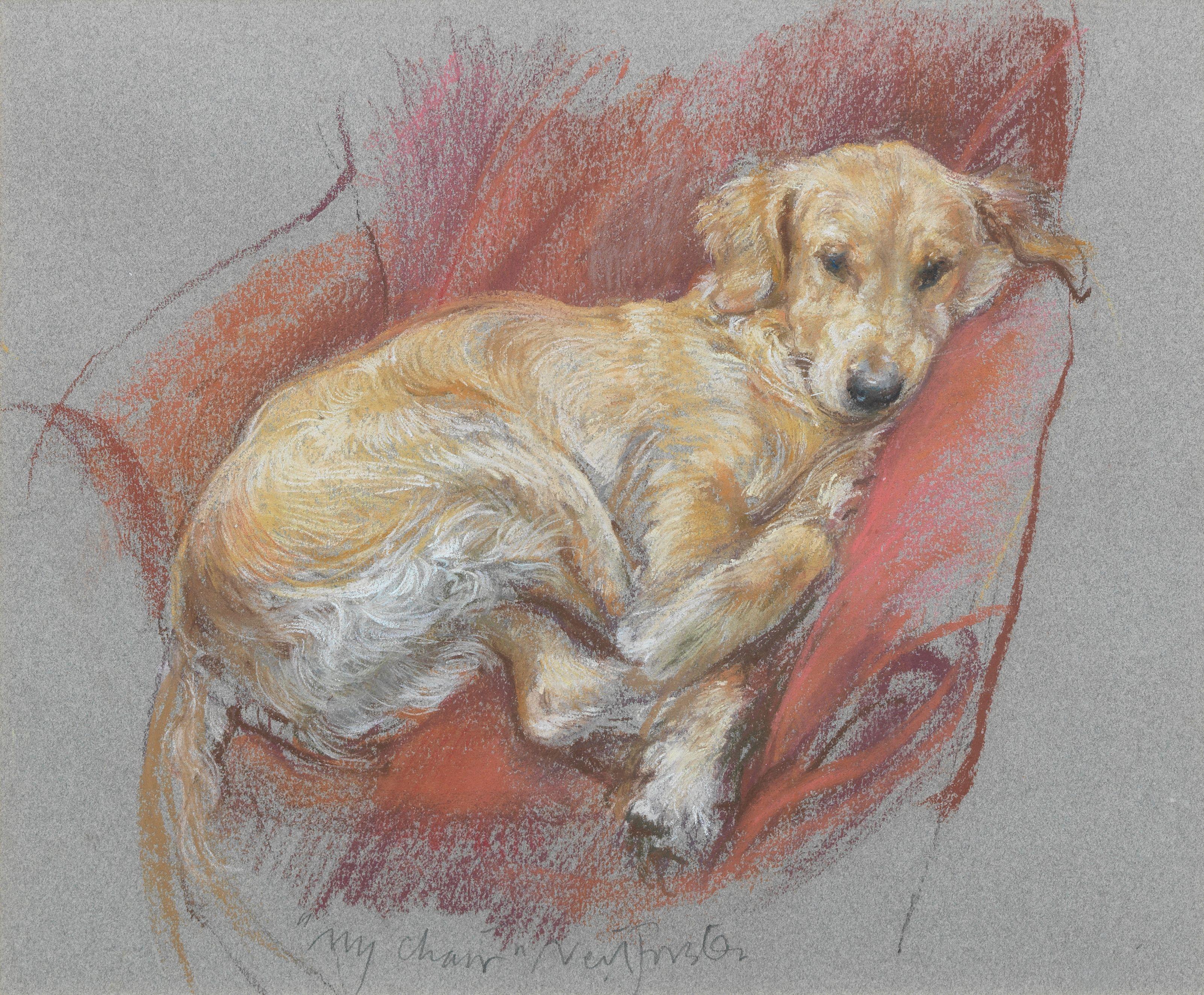 Neil Forster - \'My Chair\'