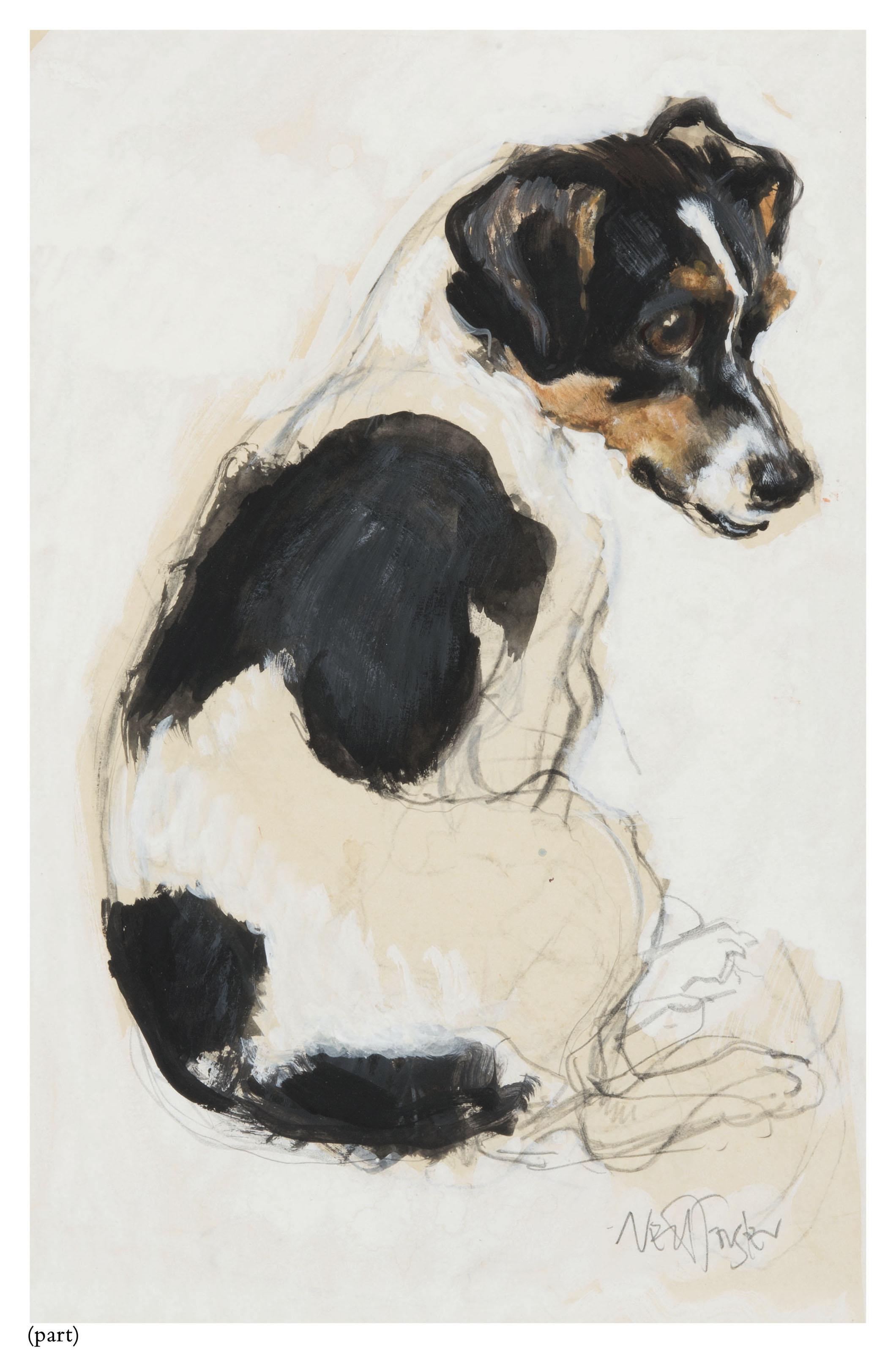 Neil Forster - Study of a seated Jack Russell terrier