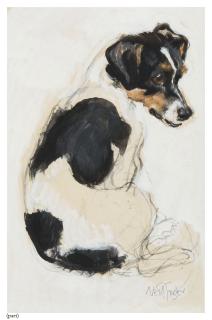 Neil Forster - Study of a seated Jack Russell terrier