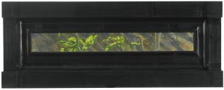 Neil Jenney - North American Vegetae