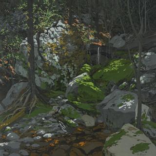 Neil Welliver - Anonymous Freshet