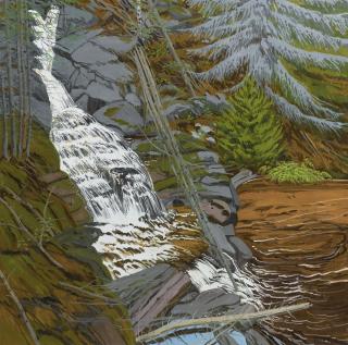Neil Welliver - Bear Hole - Full Flow