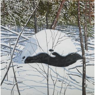 Neil Welliver - Erratic And Snow