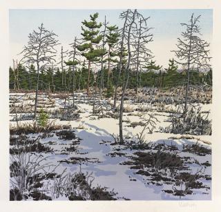 Neil Welliver - Little Marsh