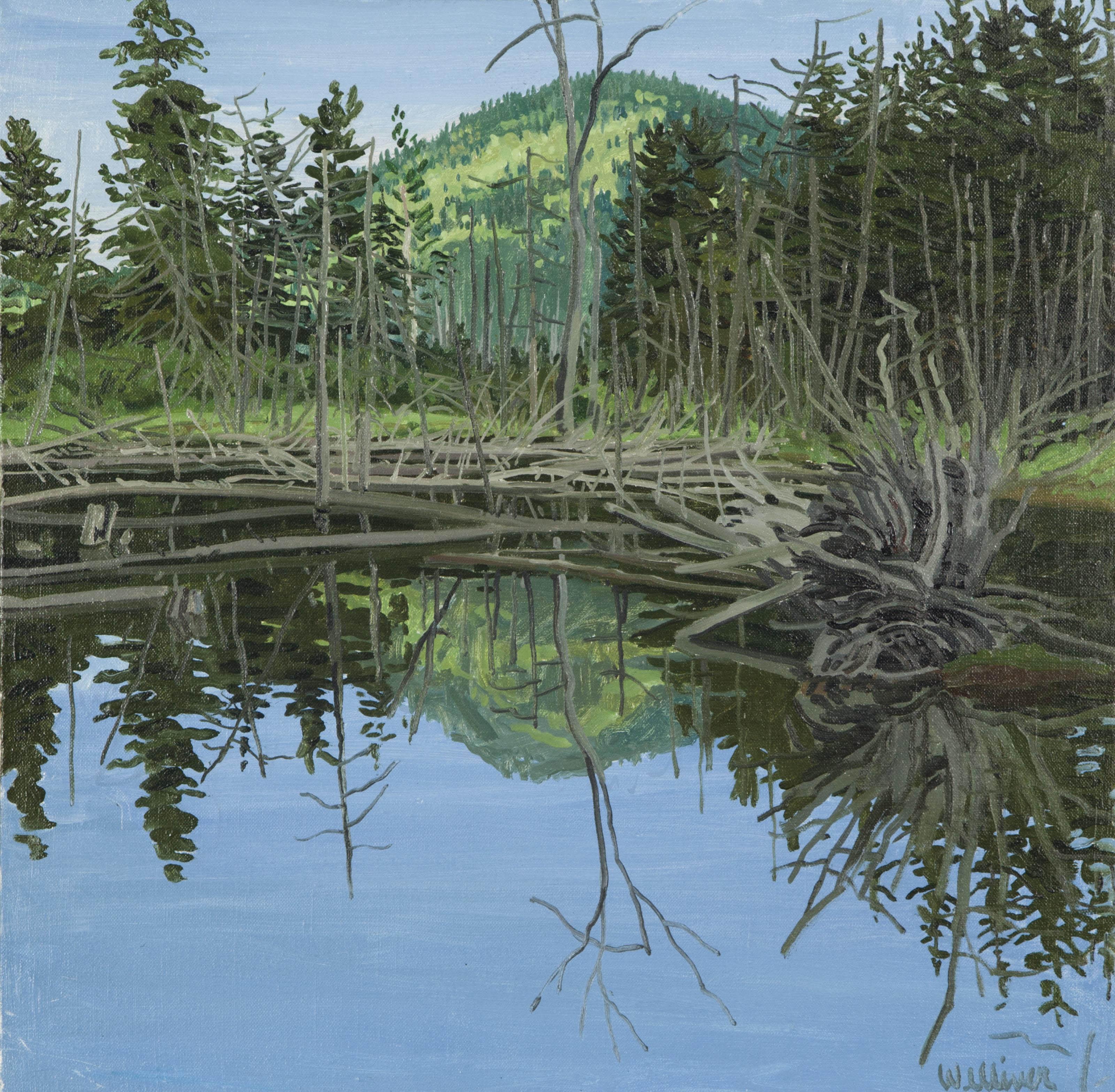 Neil Welliver - Study For Crater Outlet