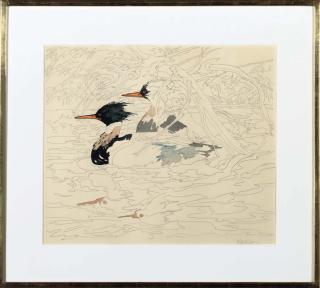 Neil Welliver - Study for Merganser
